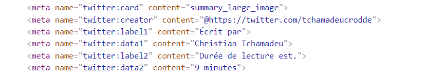 Balises HTML meta de twitter