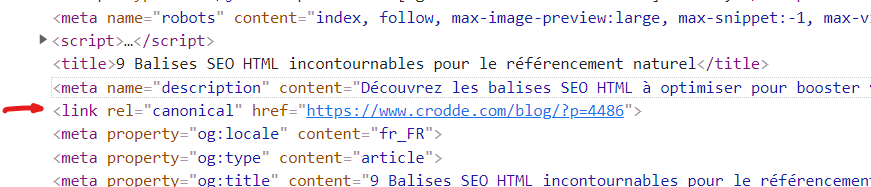 balises SEO link rel canonical