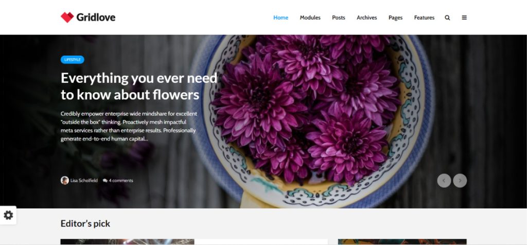 Gridlove theme wordpress de magazine